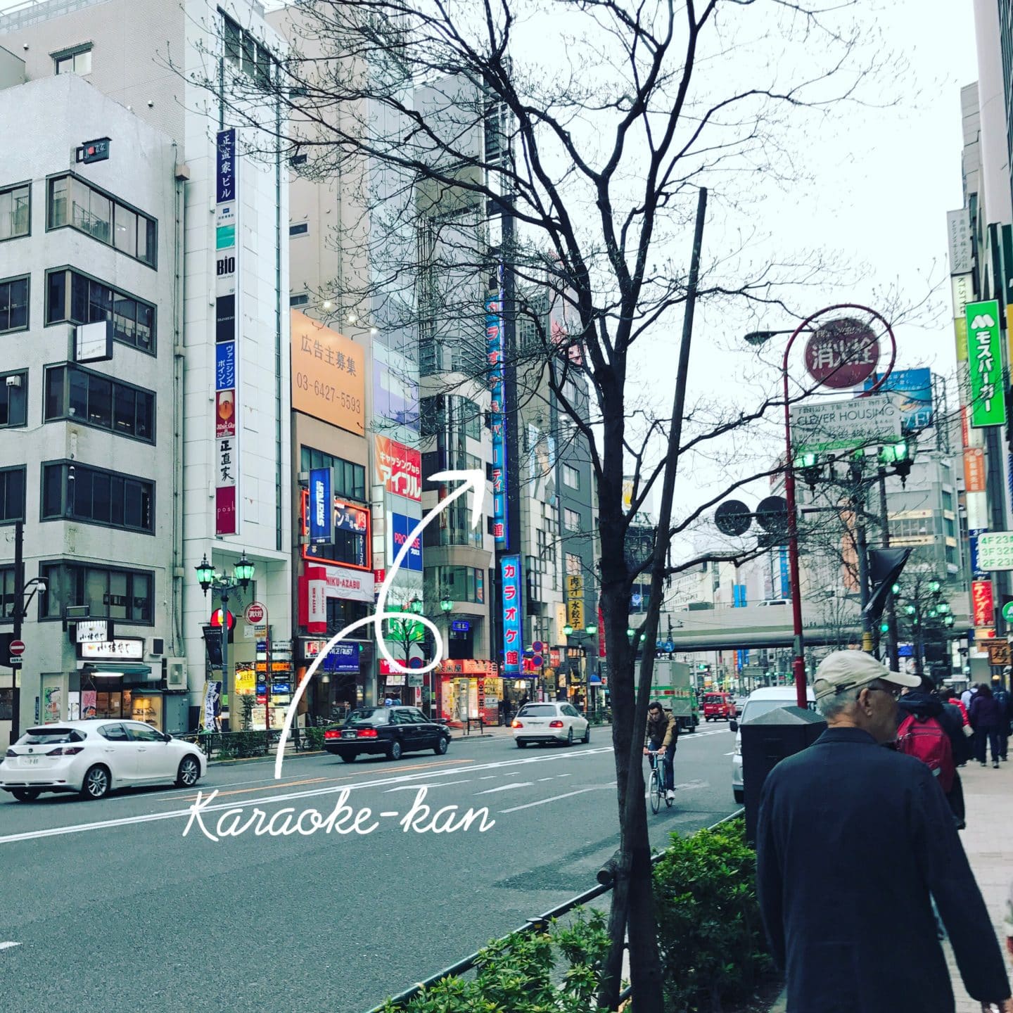 8 - Karaokekan, Karaoke boxes in Tokyo are like trees in a …