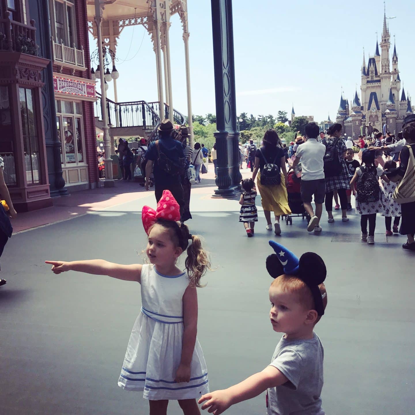 SURVIVING CRAZY-BUSY DISNEYLAND