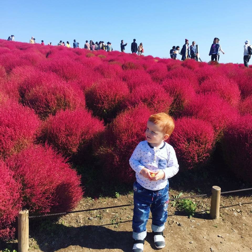 FLOWERS & BOUNCY DOME PARKS(GREATER TOKYO)