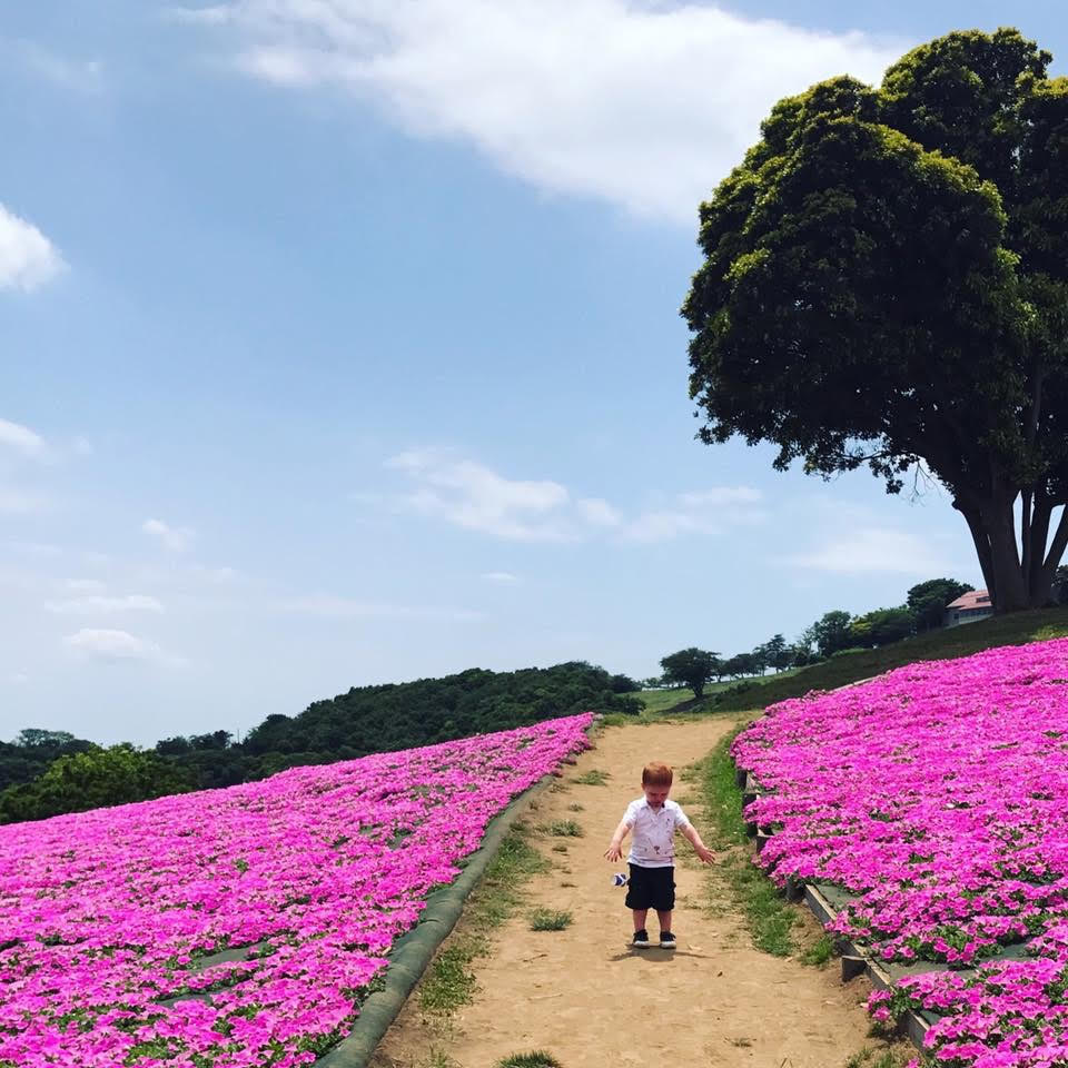 USING INSTAGRAM & PINTEREST TO MAKE YOUR TOKYO TRAVEL BETTER