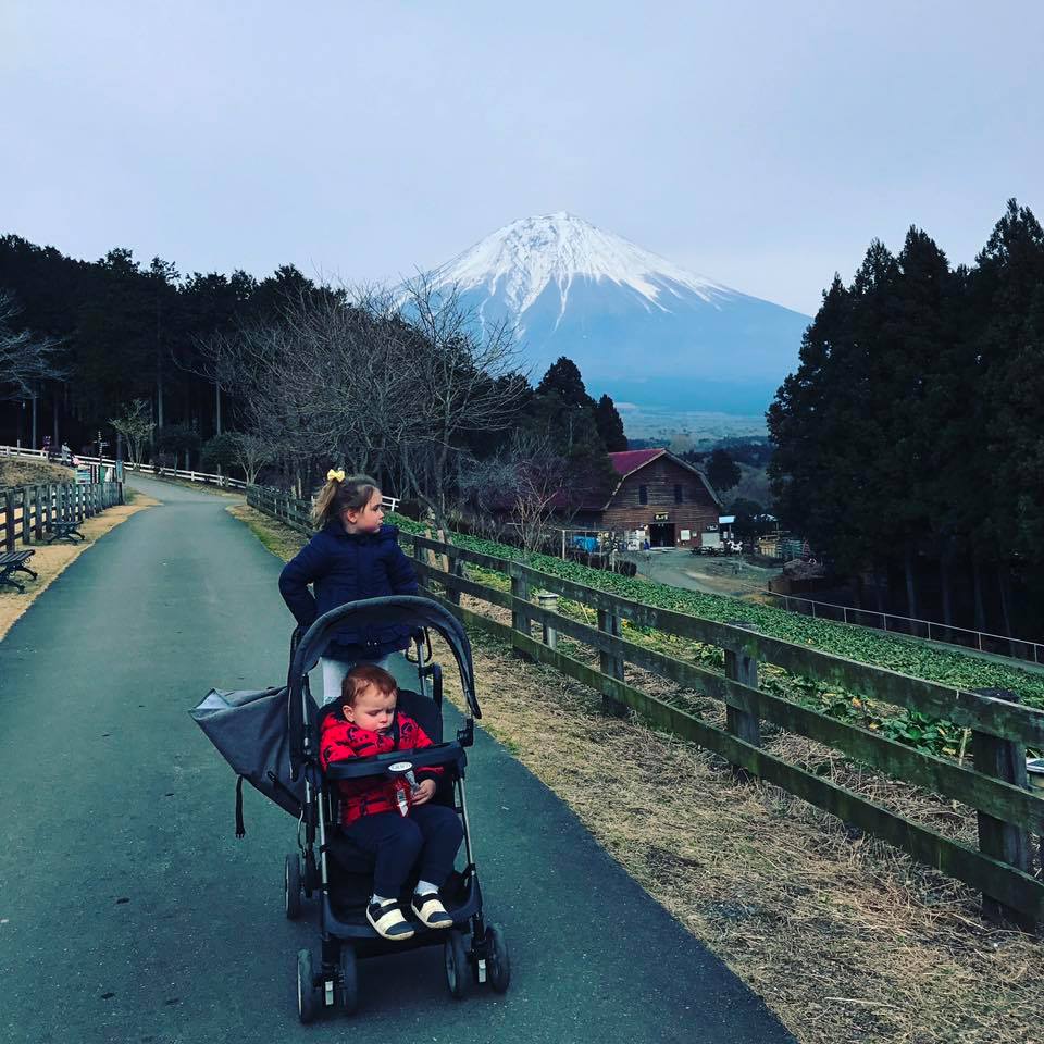 japanese travel stroller