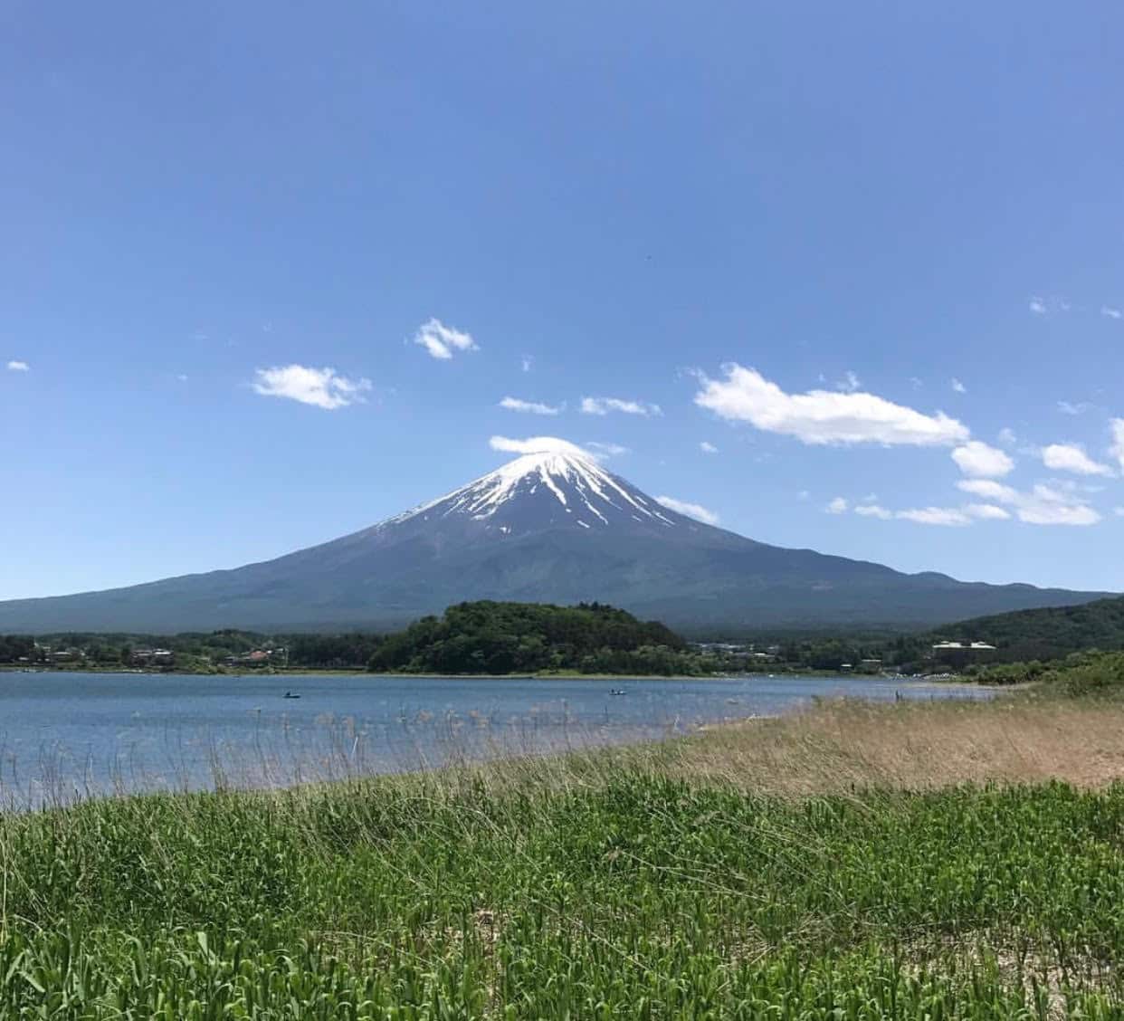 Fuji views from Oishi park Kawaguchiko
