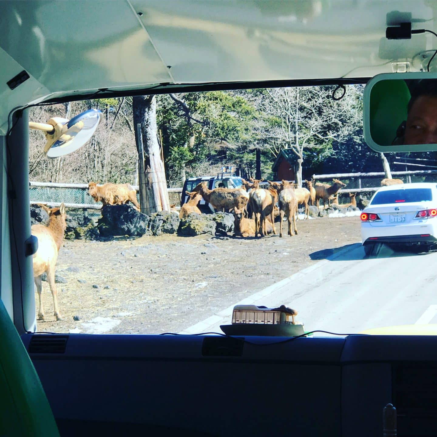 how to go fuji safari park