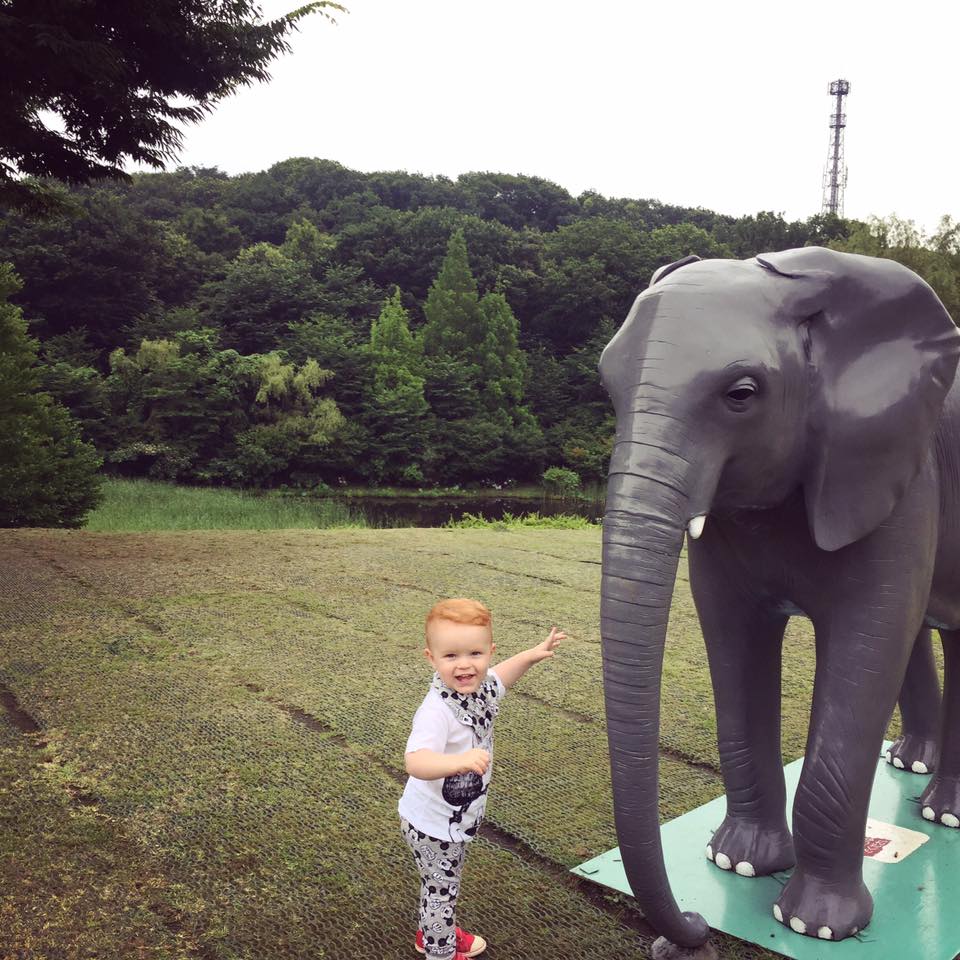 DOES YOUR LITTLE ONE LOVE ELEPHANTS? - The Tokyo Chapter