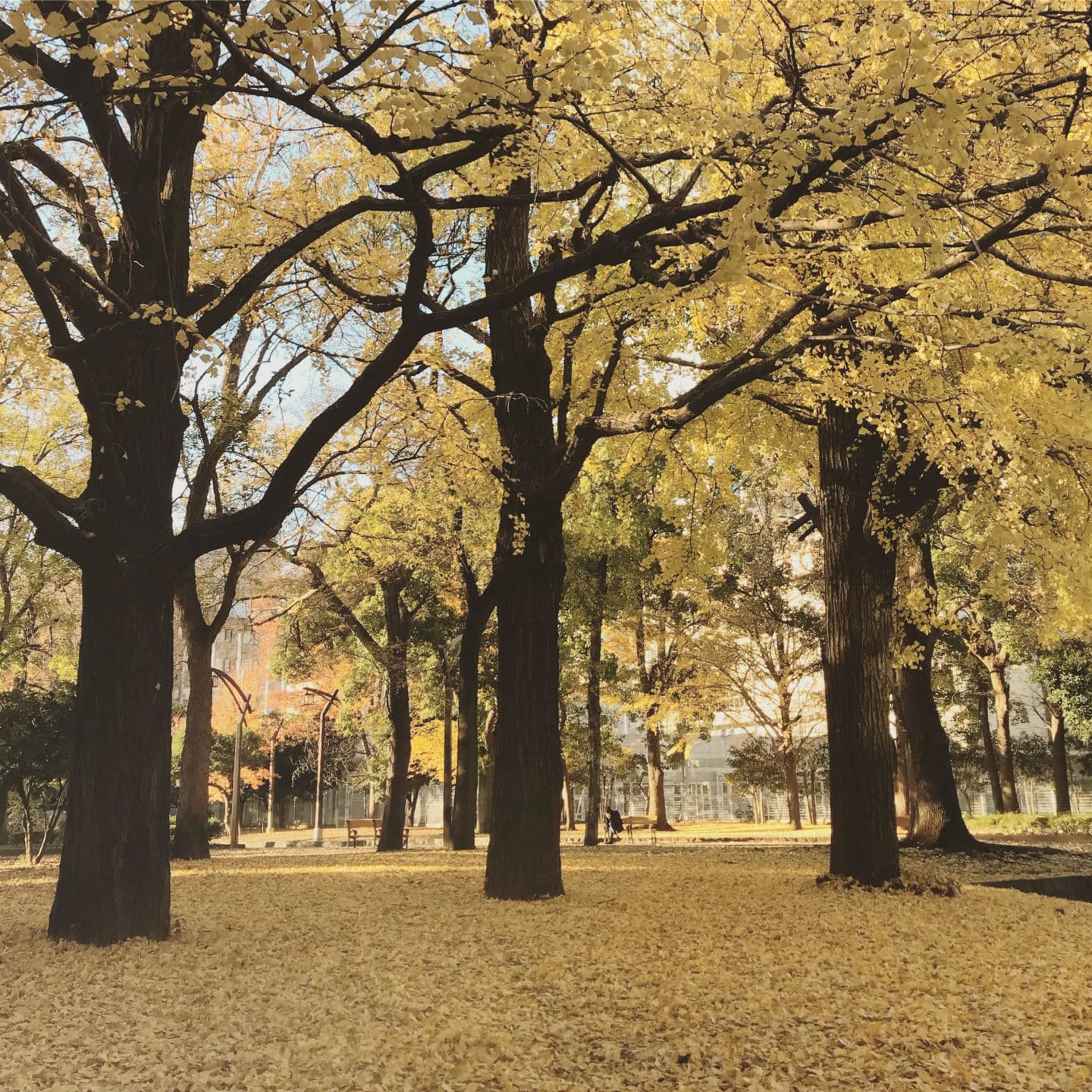 AUTUMN IN TOKYO WITH KIDS : MY FAVOURITES