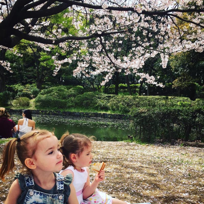 When Are Japanese School Holidays The Tokyo Chapter