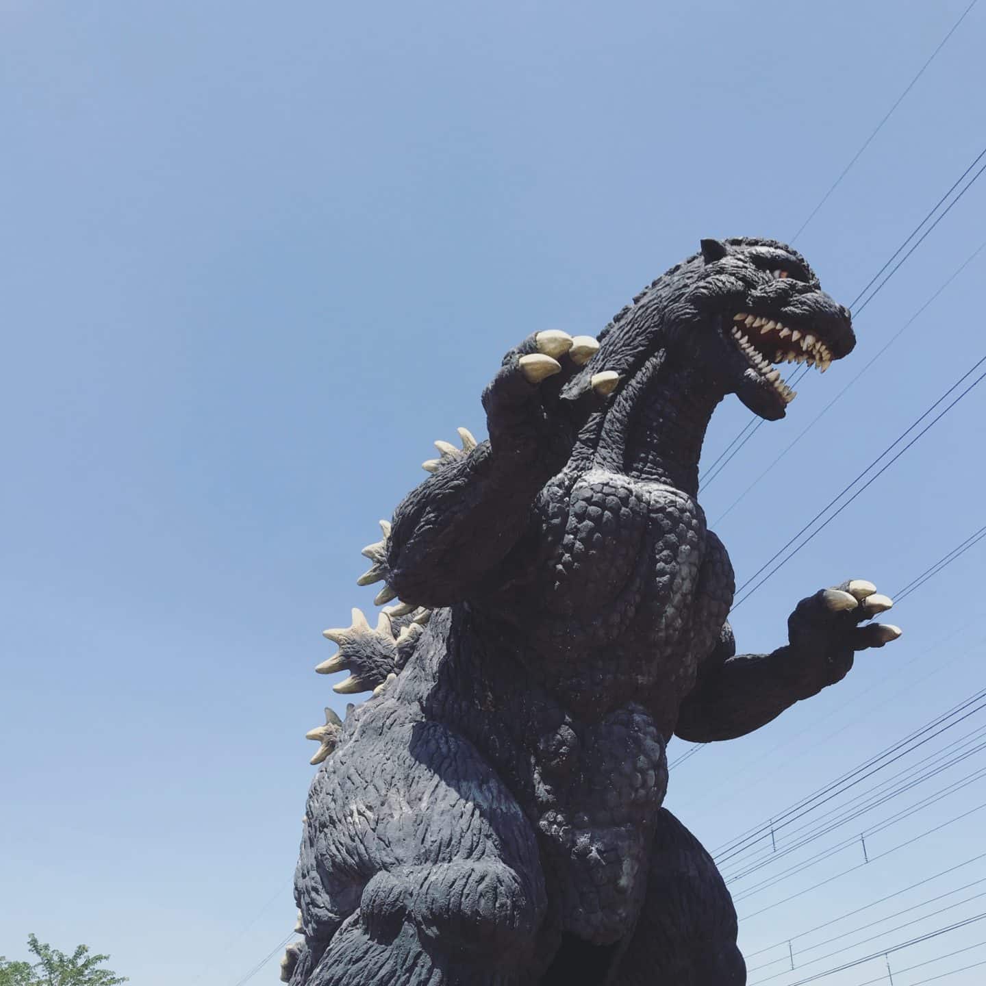 THE GODZILLA SLIDE PARK