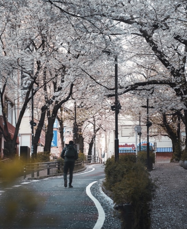 WALKING BETWEEN HARAJUKU & SHIBUYA WITH KIDS